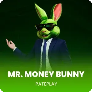 Mr Money Bunny